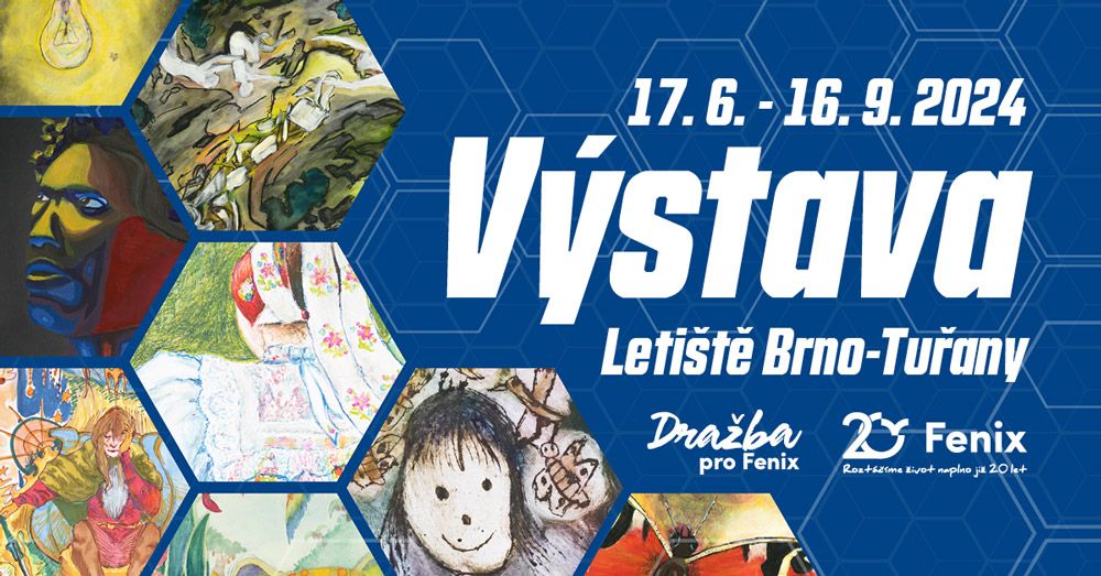 vystava obrazu letiste 2024 akce f8e8ab09